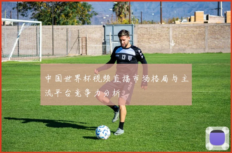 中国世界杯视频直播市场格局与主流平台竞争力分析