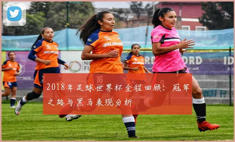 2018年足球世界杯全程回顾：冠军之路与黑马表现分析