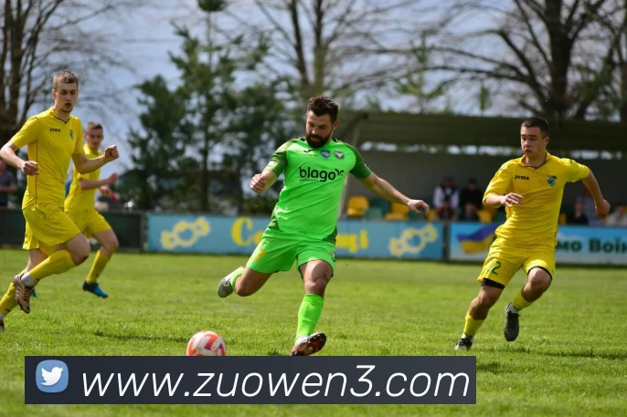 冠竞体育电子竞技官网平台生态图